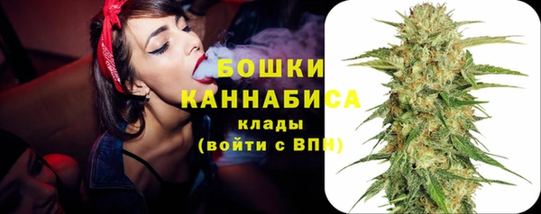 дживик Аркадак