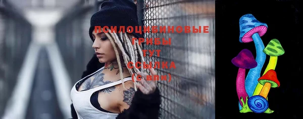 бошки Арсеньев