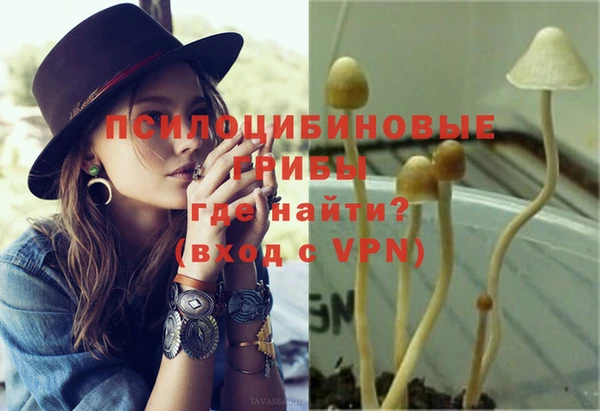 дживик Аркадак
