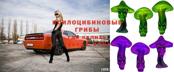дживик Аркадак